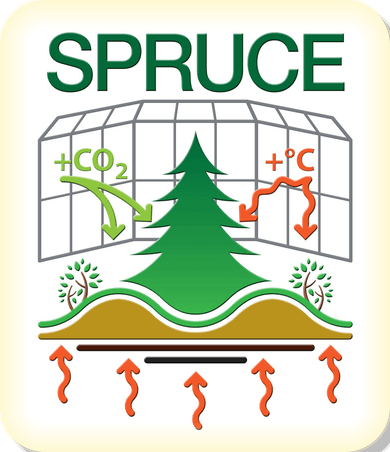 SPRUCE Logo